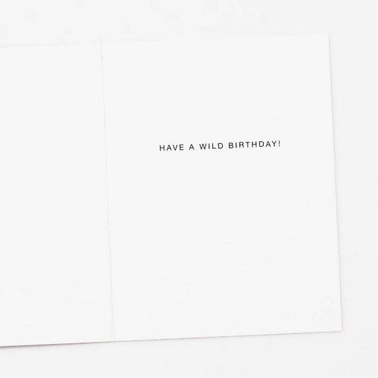 Flamingos Birthday Card