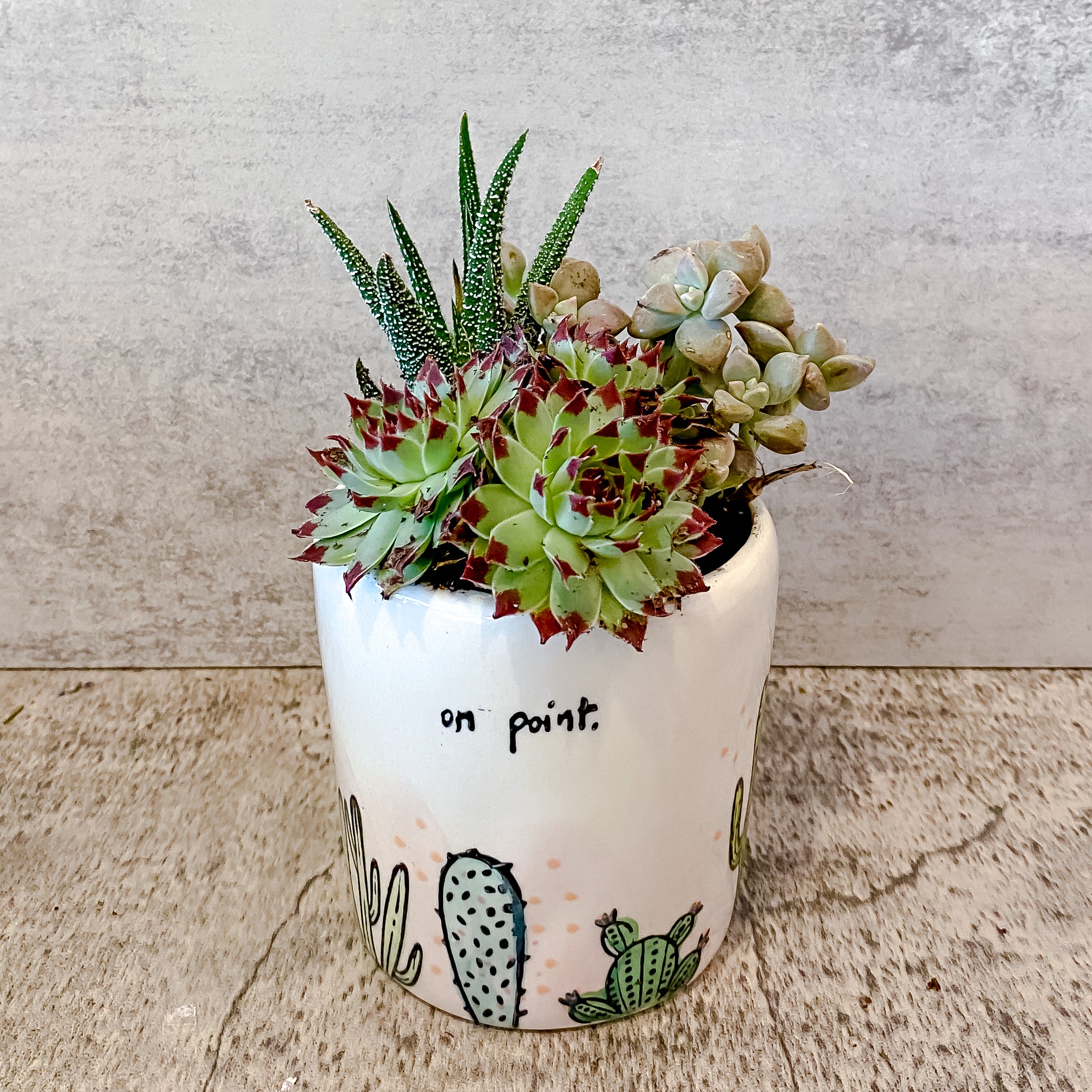succulent point Succulent Garden "On Point" Bigger Vessel – Blume Haus Fine Flowers