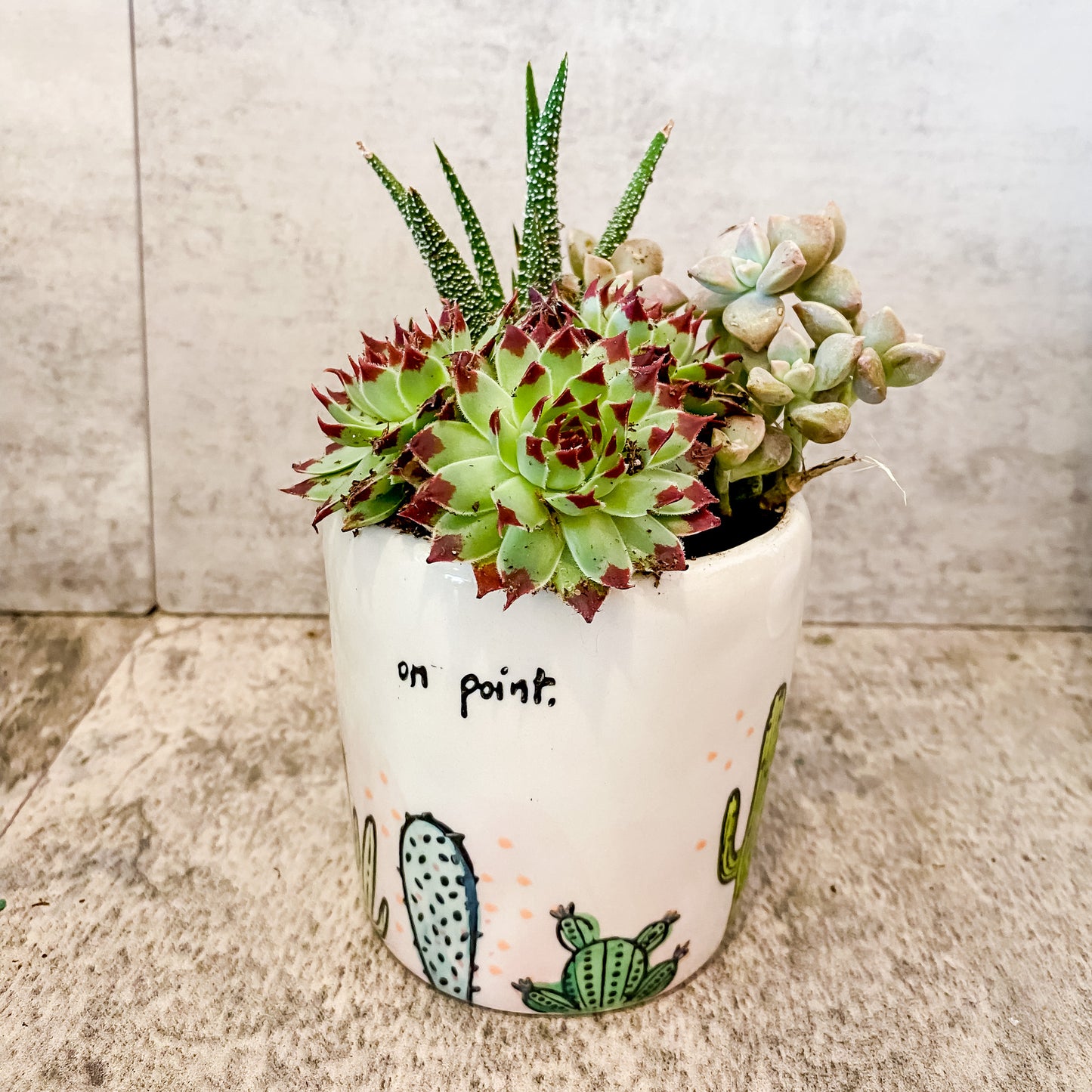 Succulent Garden "On Point" Bigger Vessel