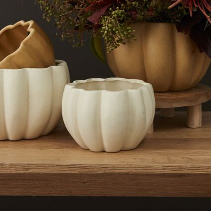 2025 Thanksgiving Flower Workshop