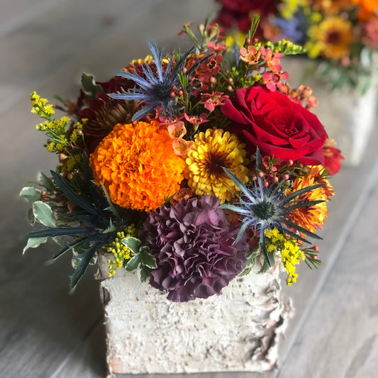Colors of Fall