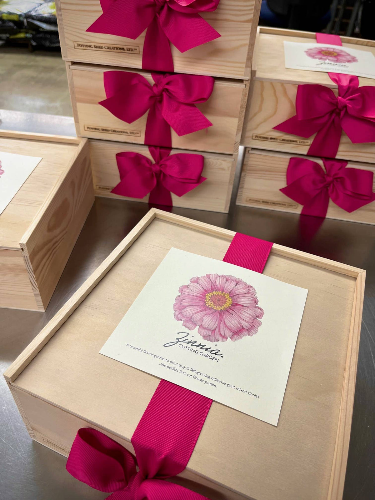 Flower Garden Box | Mixed Zinnia