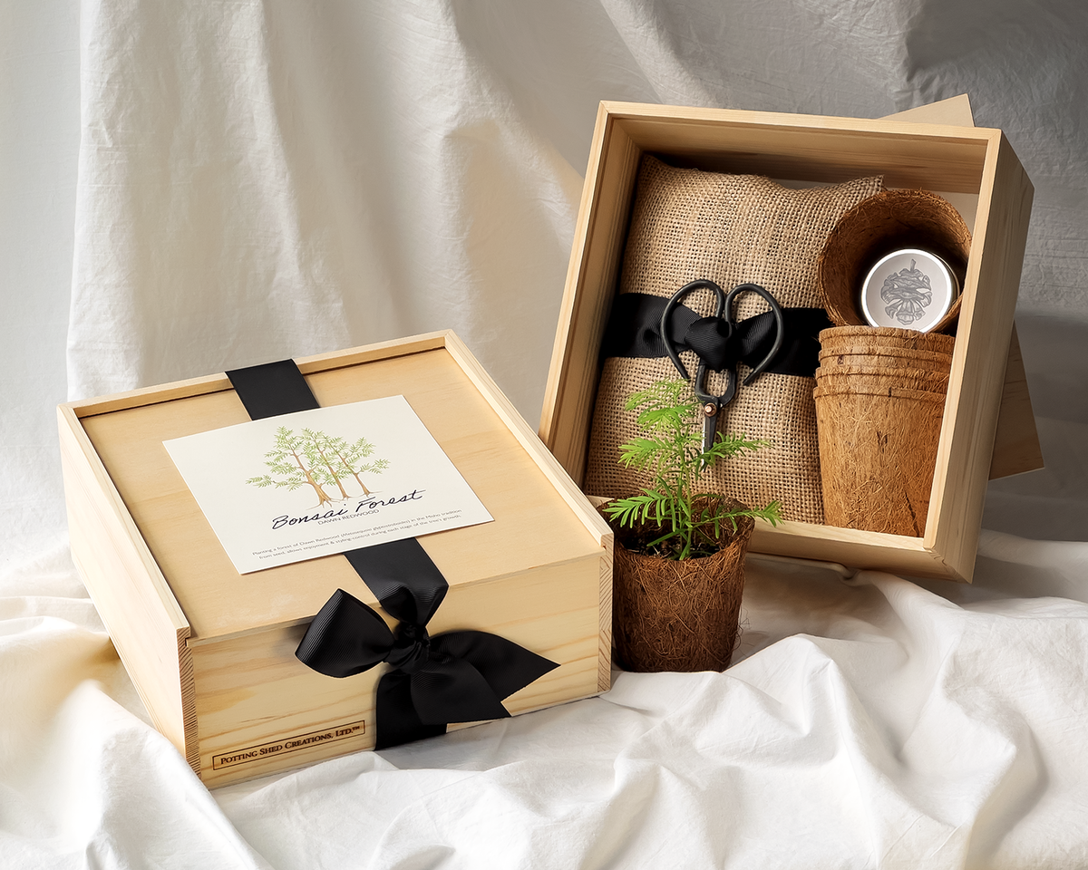 Flower Garden Box | Mixed Zinnia