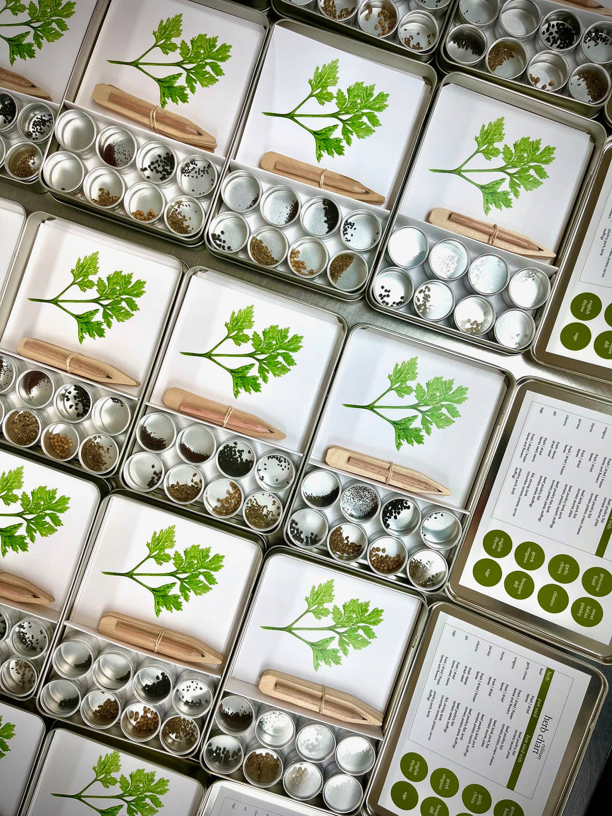 Culinary Garden Herbs