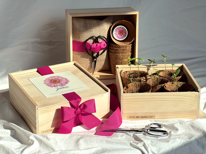 Flower Garden Box | Mixed Zinnia