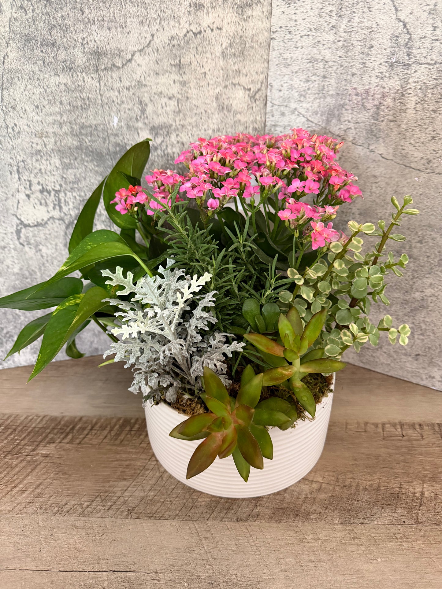Plant Garden