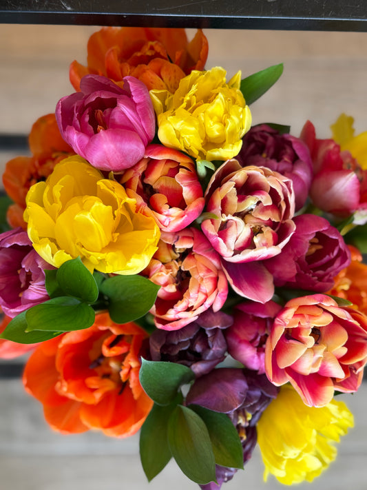 The Tulip Society