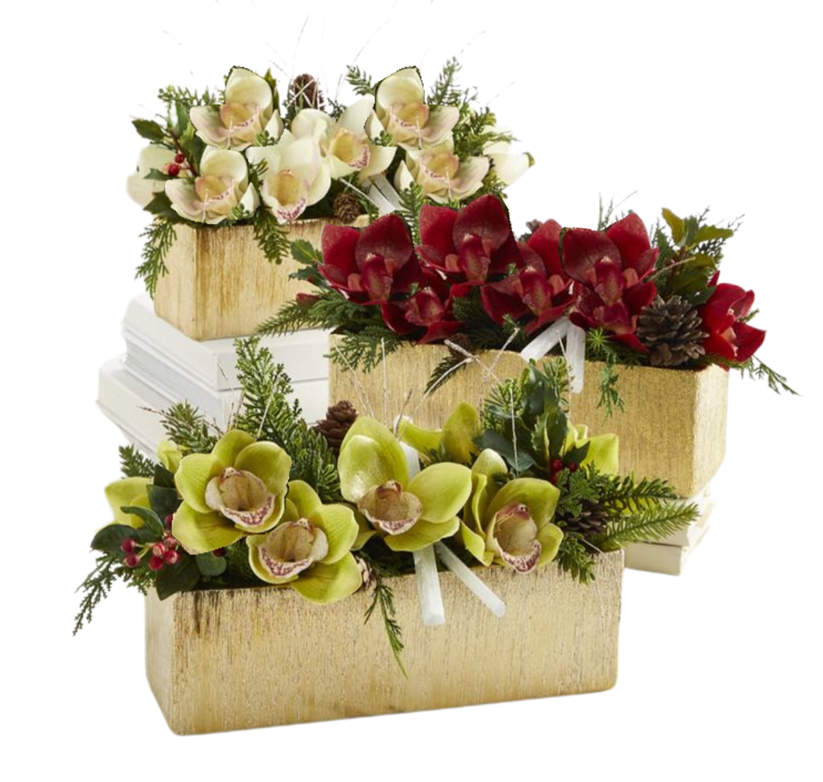 Holiday Cymbidium Arrangements