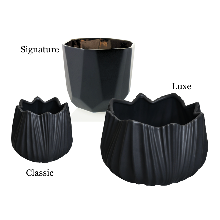 Eternal Desire - Artisan Collection