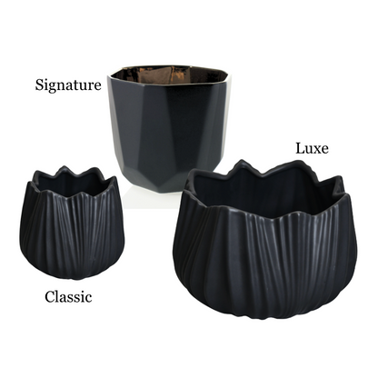 Eternal Desire - Artisan Collection