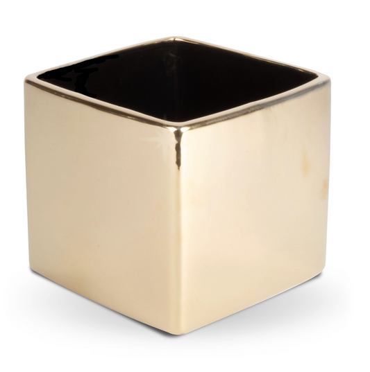 XOXO Hugs & Kisses - 2026 Classic Collection