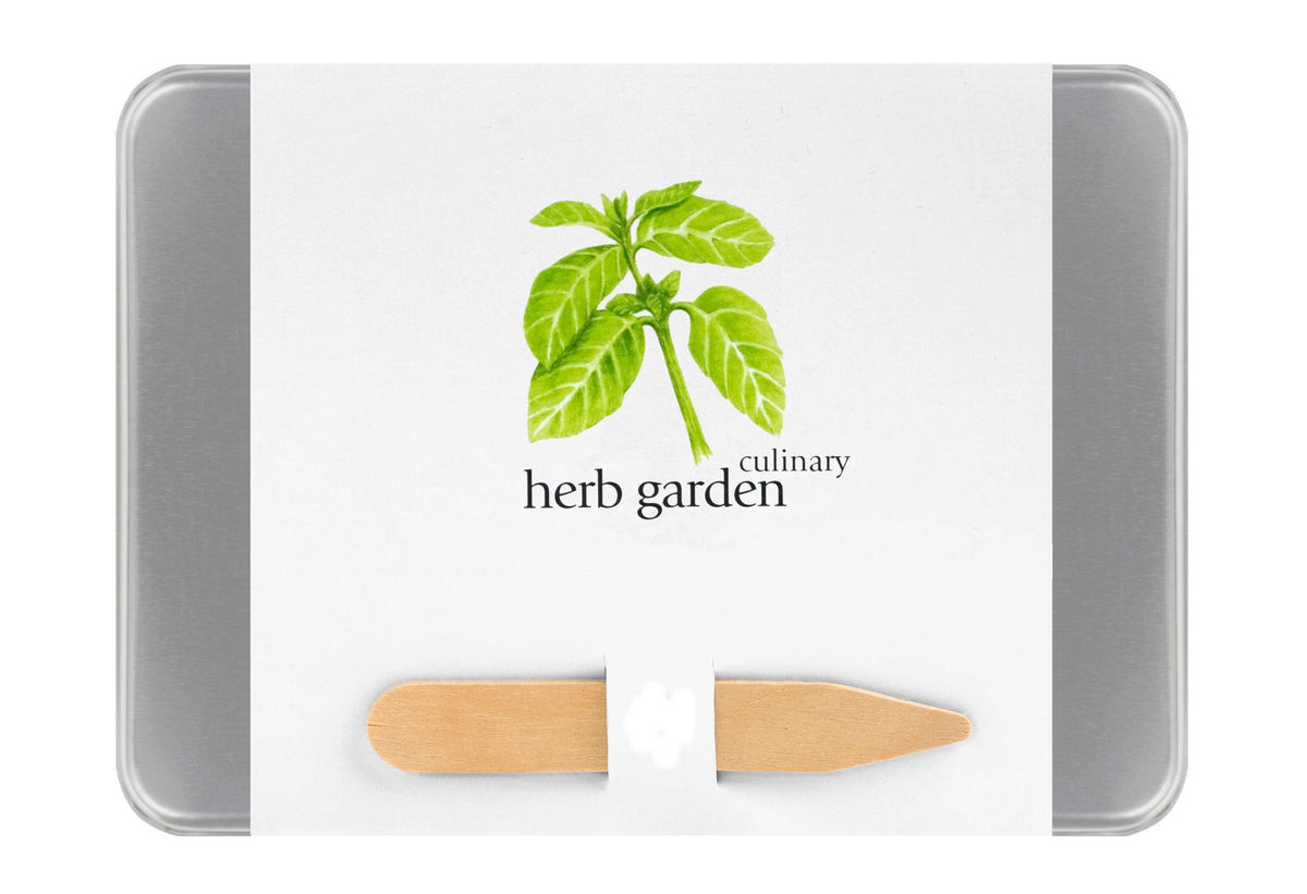 Culinary Garden Herbs