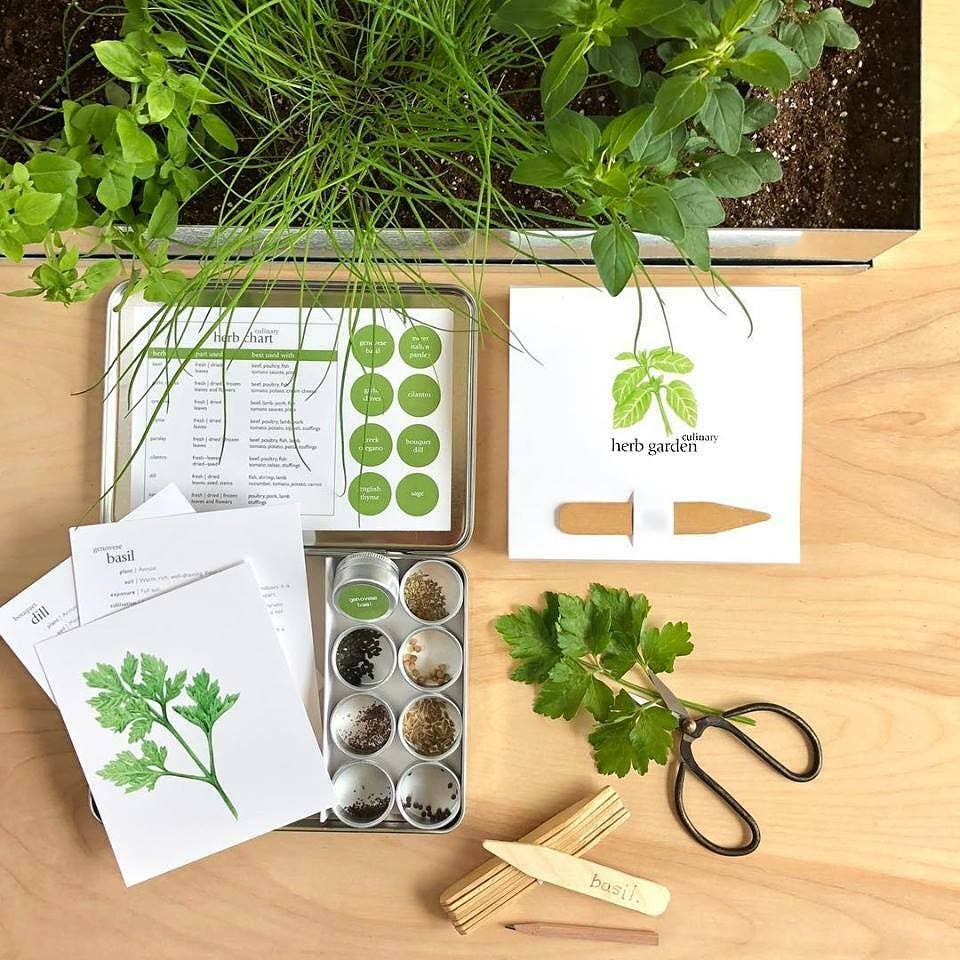 Culinary Garden Herbs