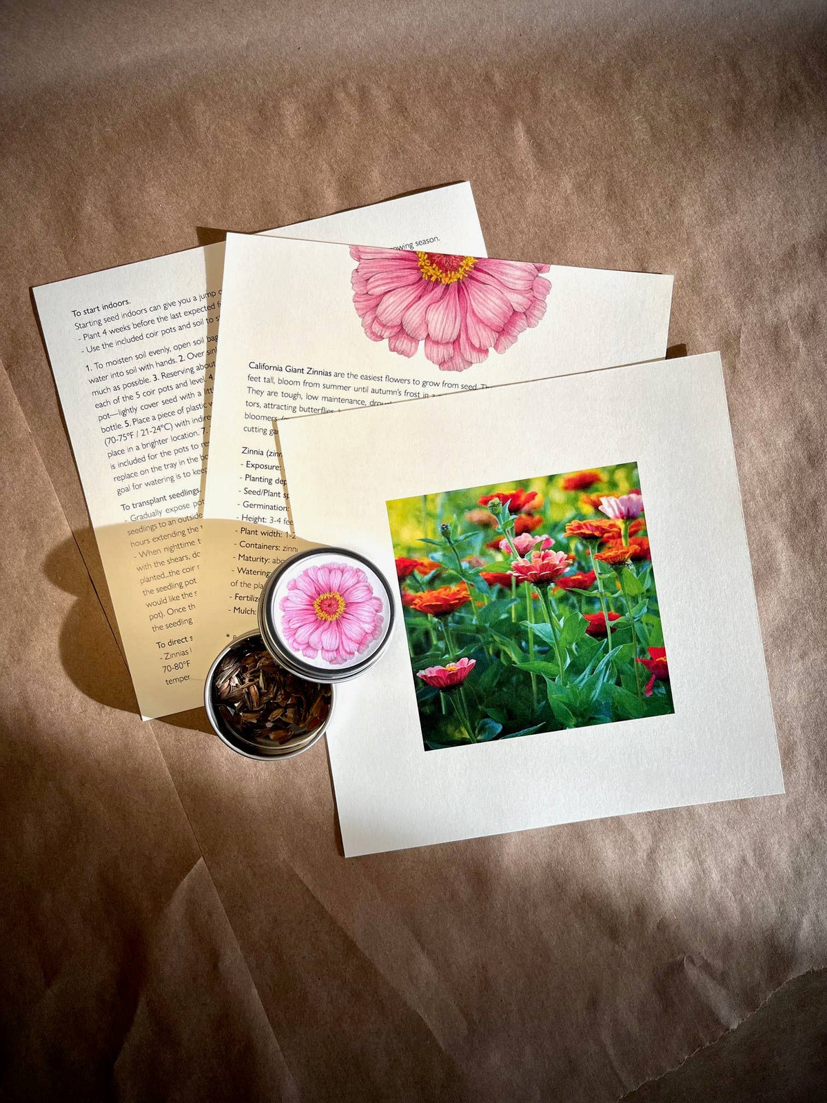 Flower Garden Box | Mixed Zinnia