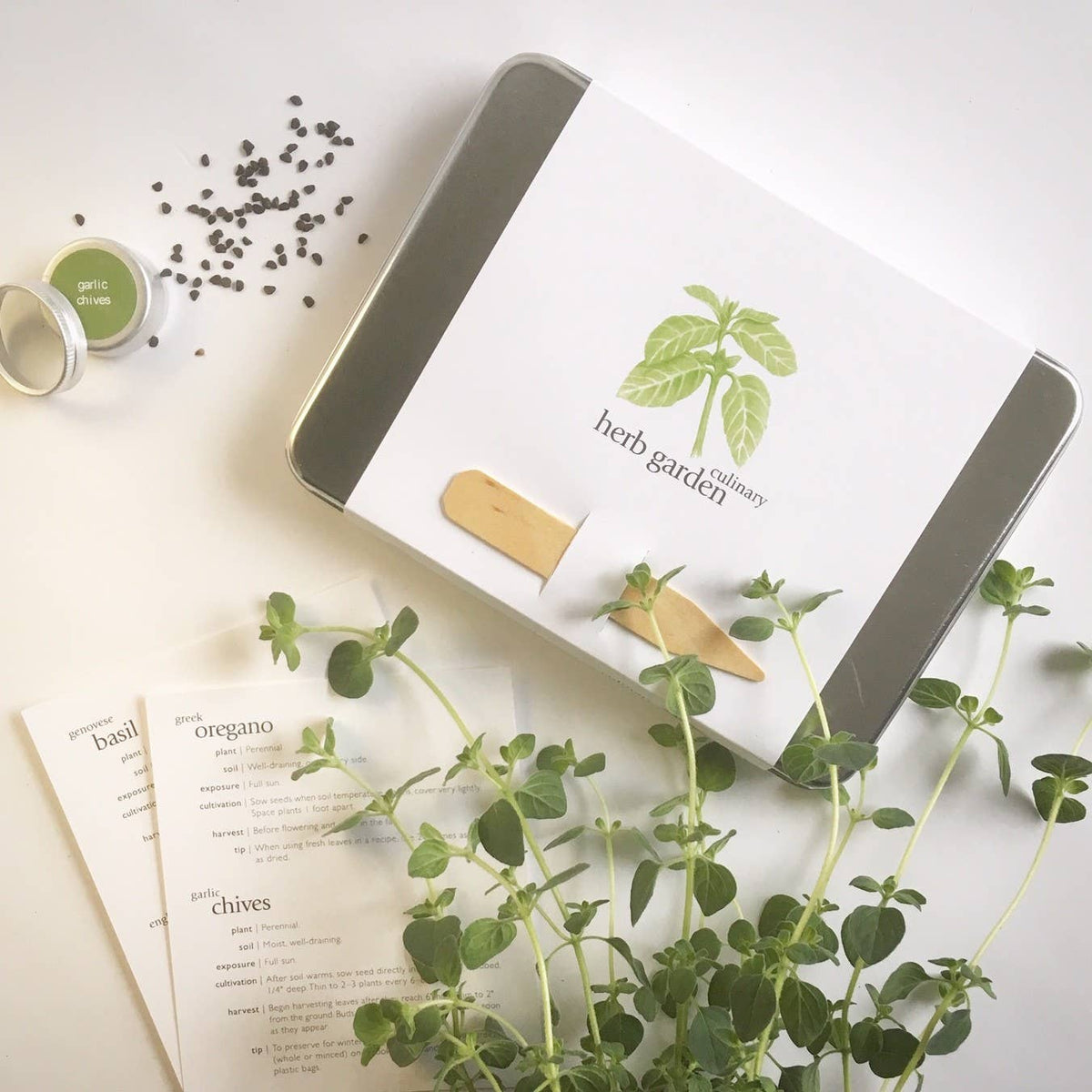 Culinary Garden Herbs