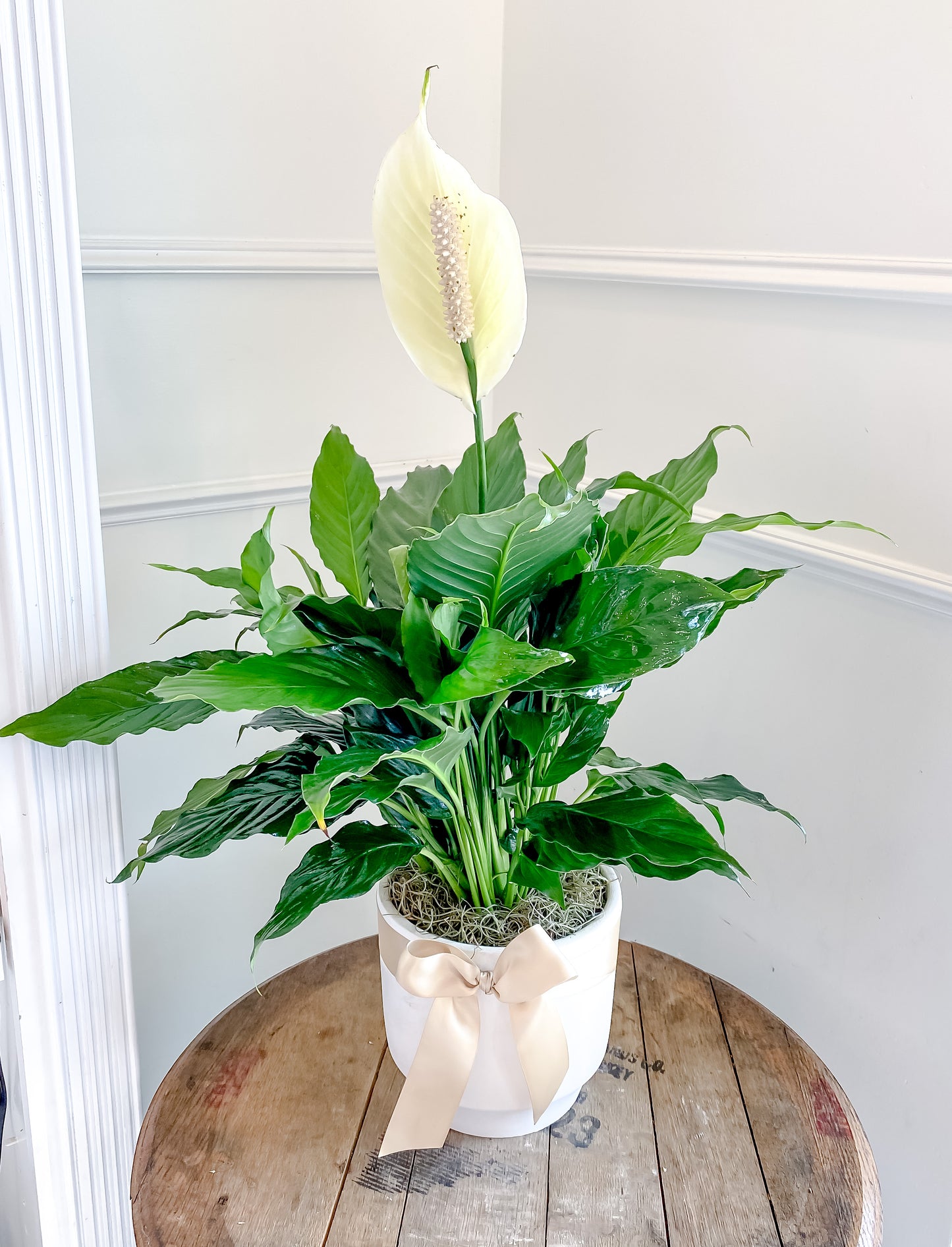 peace lily in a vase Peace Lily – Blume Haus Fine Flowers